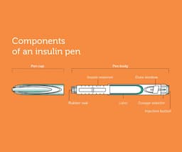 An image showing components of an insulin pen