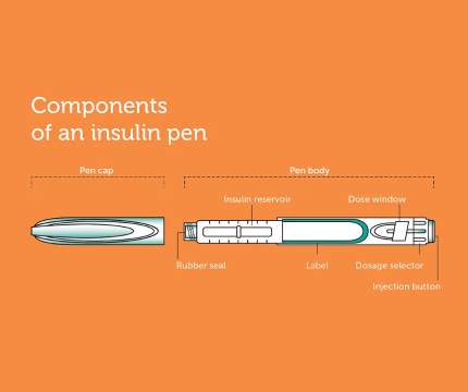 An image showing components of an insulin pen