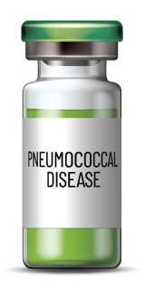 A picture of a Pneumococcal disease vaccine bottle.
